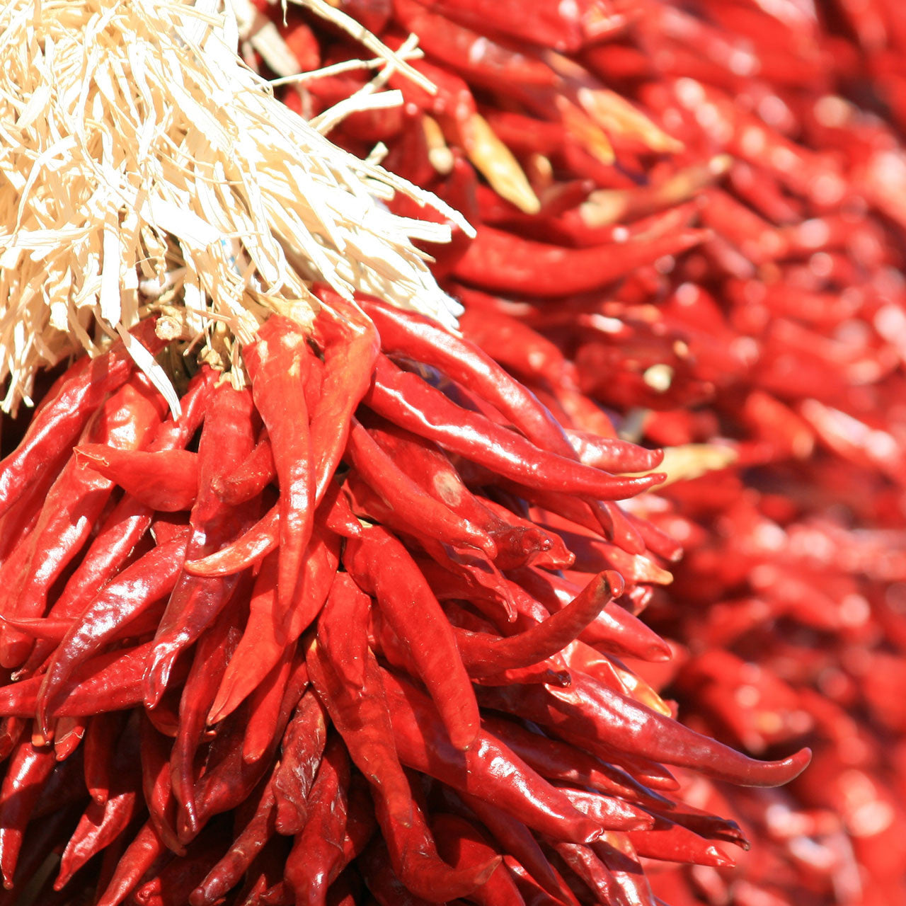 Chilli Hero Sambal